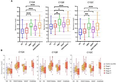 Proangiogenic properties of complement protein C1q can contribute to endometriosis